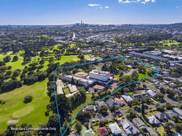 Significant development opportunity in Mt Albert