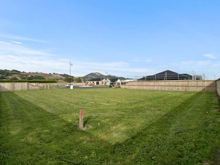 31 Armadale Street_5