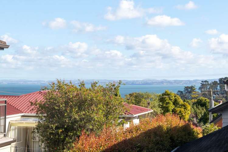 470a Hillsborough Road Mount Roskill_6