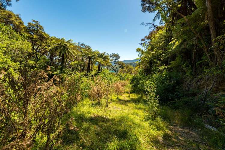 Lot 2 Kenepuru Road Portage_10