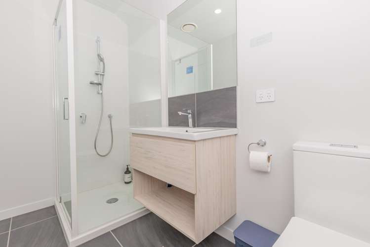 40 Ara Paiwhenua Tawa_13