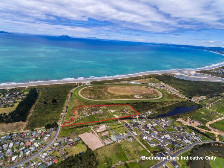 98 Peter Snell Road Ruakaka_7