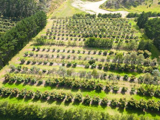 373 Kimberley Road Ngataki_4