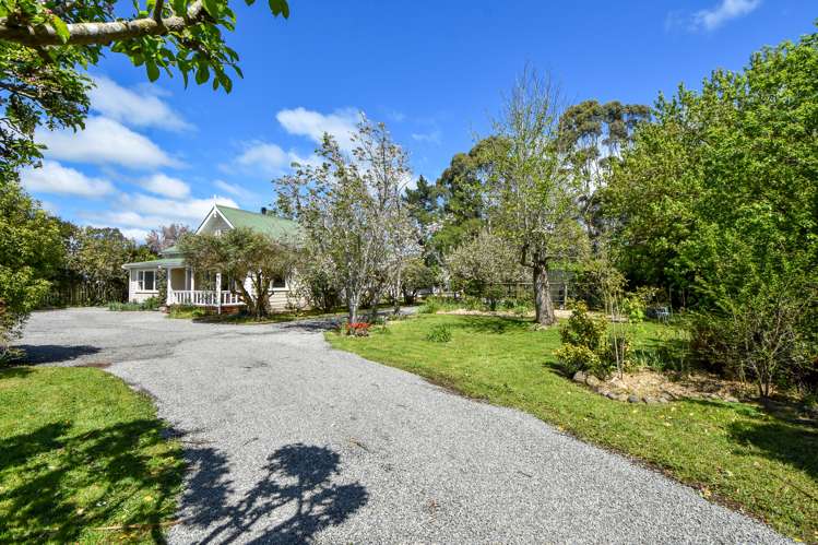 390 Park Road Carterton_20