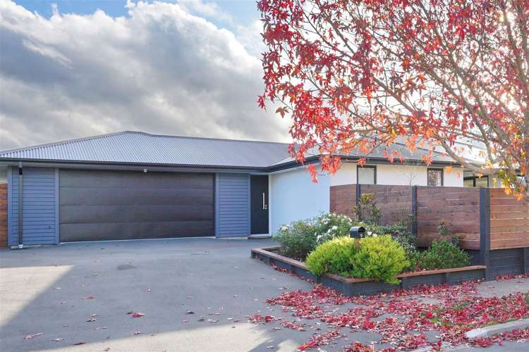 9 Seaward Street Pegasus_20