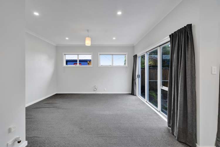 55 Mill Road Lower Vogeltown_9