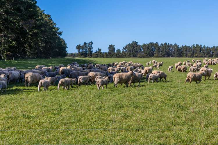 279 Waipara Flat Road Waipara_22