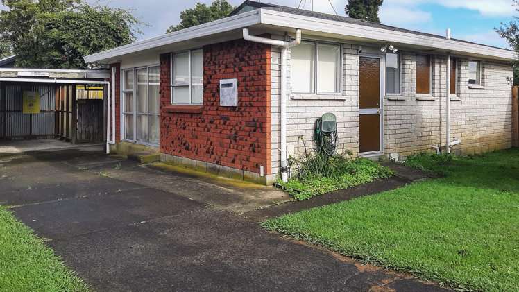 46a Livingstone Avenue Nawton_17