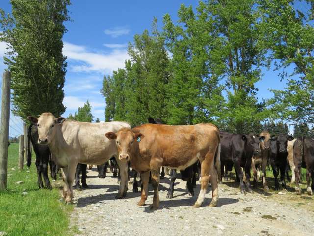 102 Talbot Road Te Anau_3