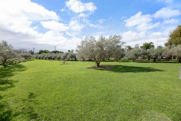 2214 State Highway 1 Spring Creek_22