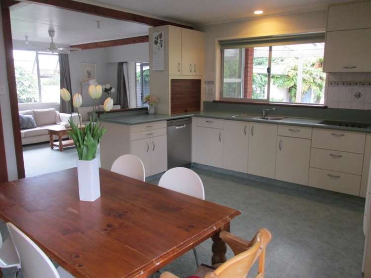 39 Elizabeth Street Matamata_3