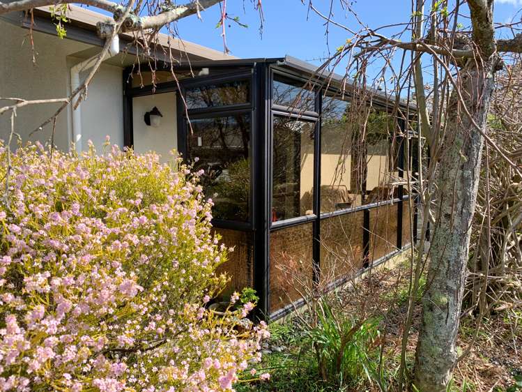 2d Feary Crescent Takaka_19