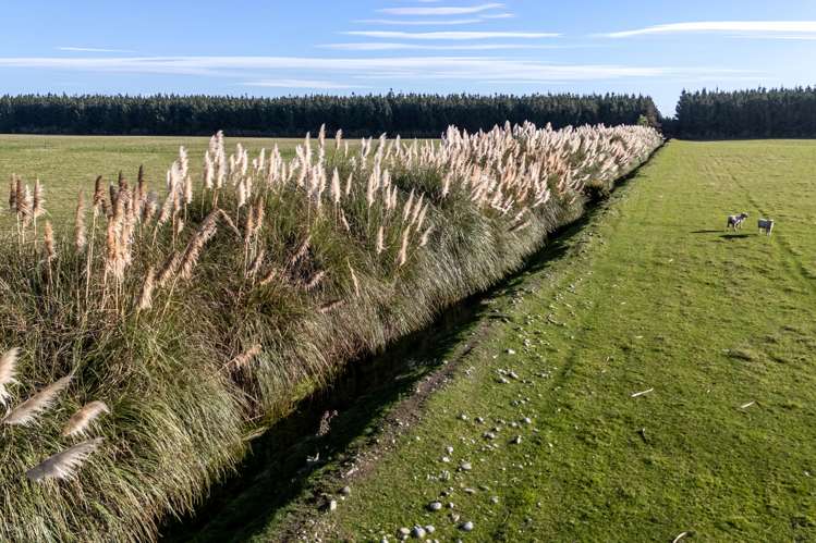 89 Chisnalls Road Hinds_25