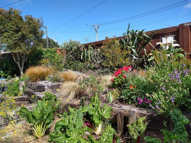 24 Banks Street Marfell_2