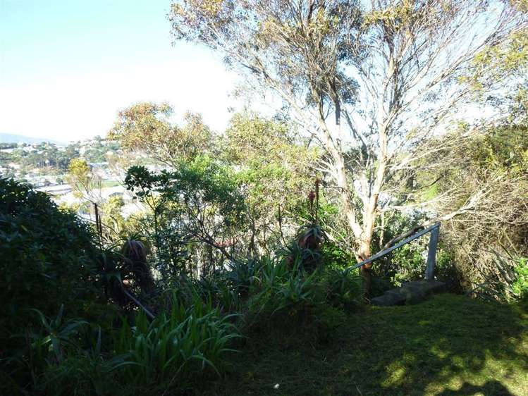 75 Miramar North Road Miramar_23