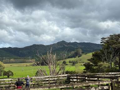 3567 Mangakahia Road_4