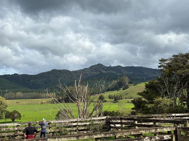 3567 Mangakahia Road Poroti_4