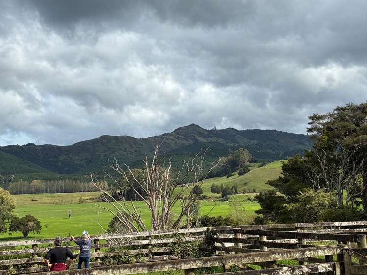 3567 Mangakahia Road Poroti_4
