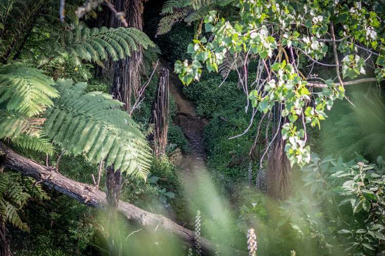 111 Kingsley Street Leamington_33