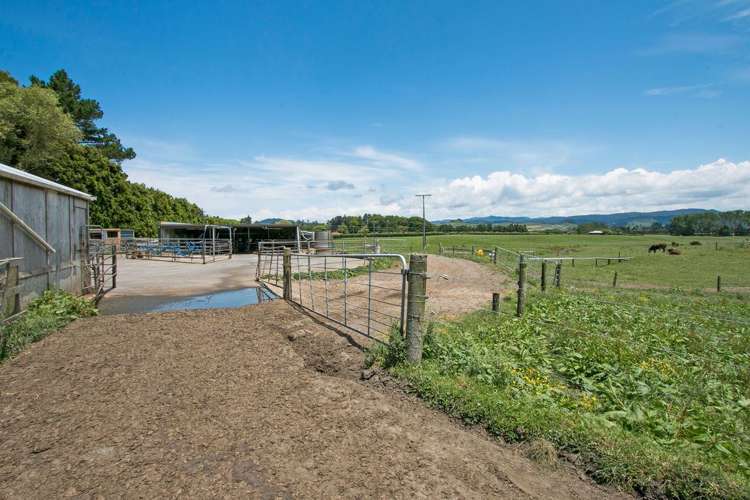 305 Waihi Beach Road Waihi_13