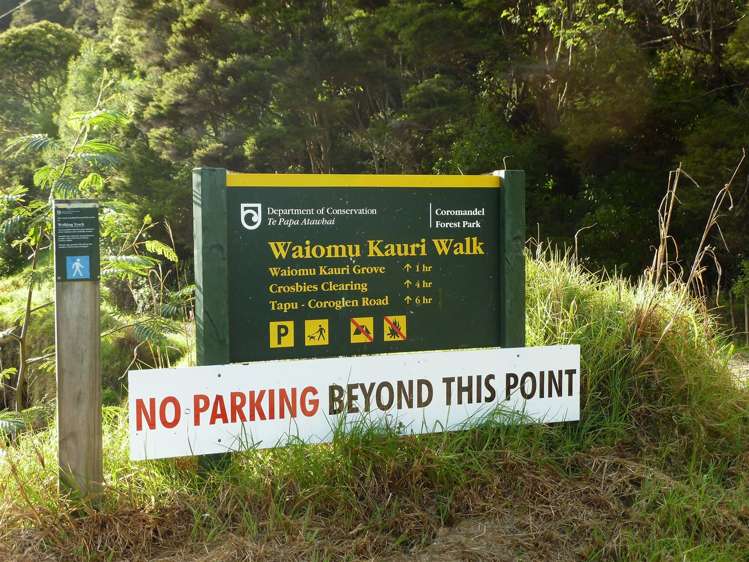 7 Pohue Creek Road Waiomu_7