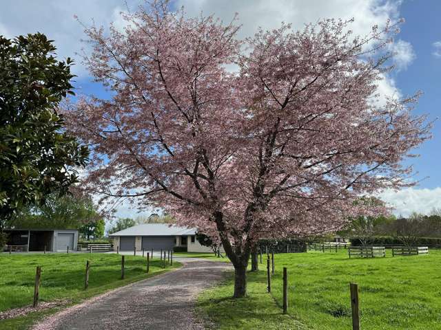 3/88 Lamb Street Leamington_2