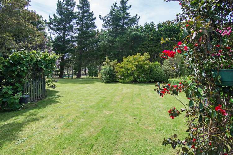 8 Mclaughlin Drive Tinui_17