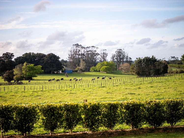 355a Waikaramu Road Kerikeri_24