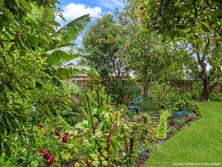 43 Fookes Street Waverley_32