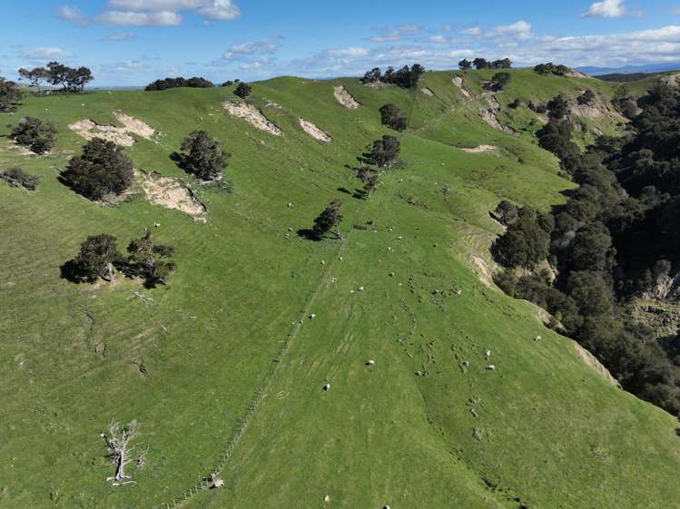 2829 Puketitiri Road Patoka_9