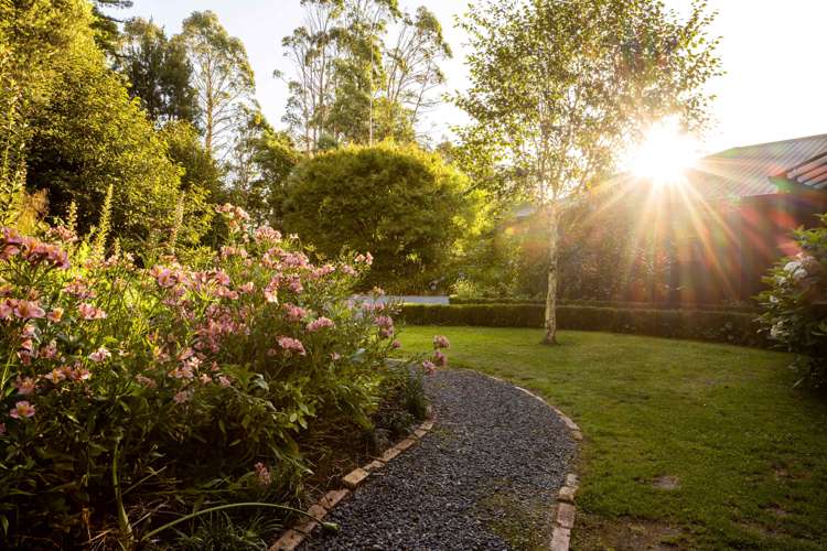 109 Butcher Road Matangi_29