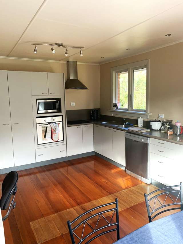16 Craigleith Street North East Valley_2
