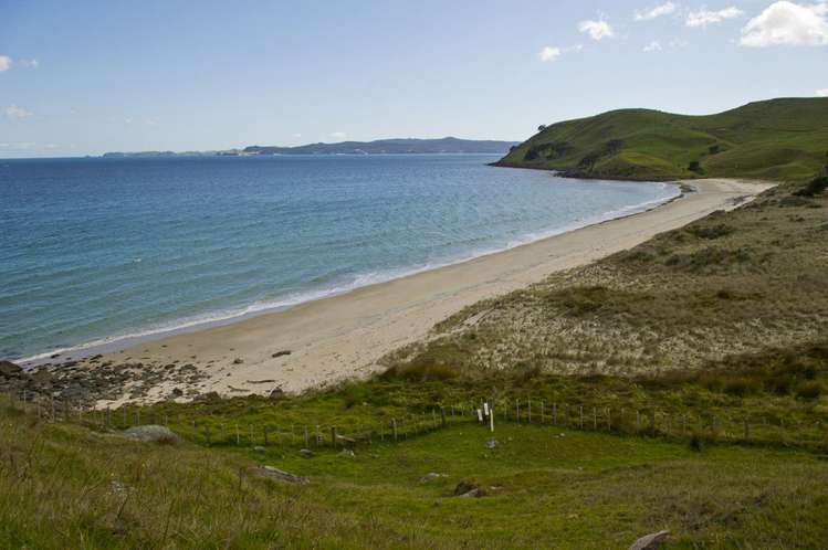 621 Black Jack Road Opito Bay_19