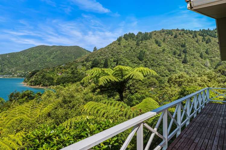 2667 Kenepuru Road Marlborough Sounds_28