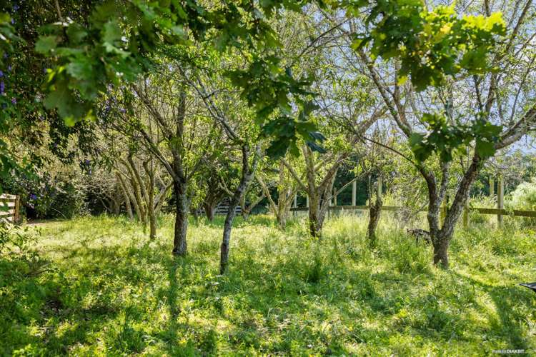 558c Waiau Pa Road Waiau Pa_5