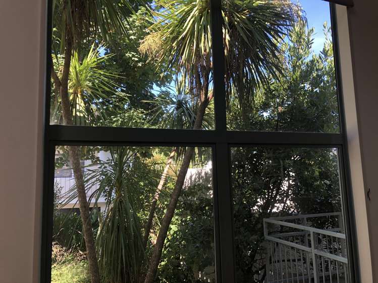 29h Saint Stephens Avenue Parnell_15