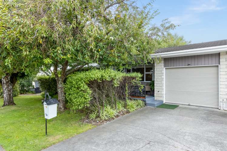 1a Everest Avenue Havelock North_11