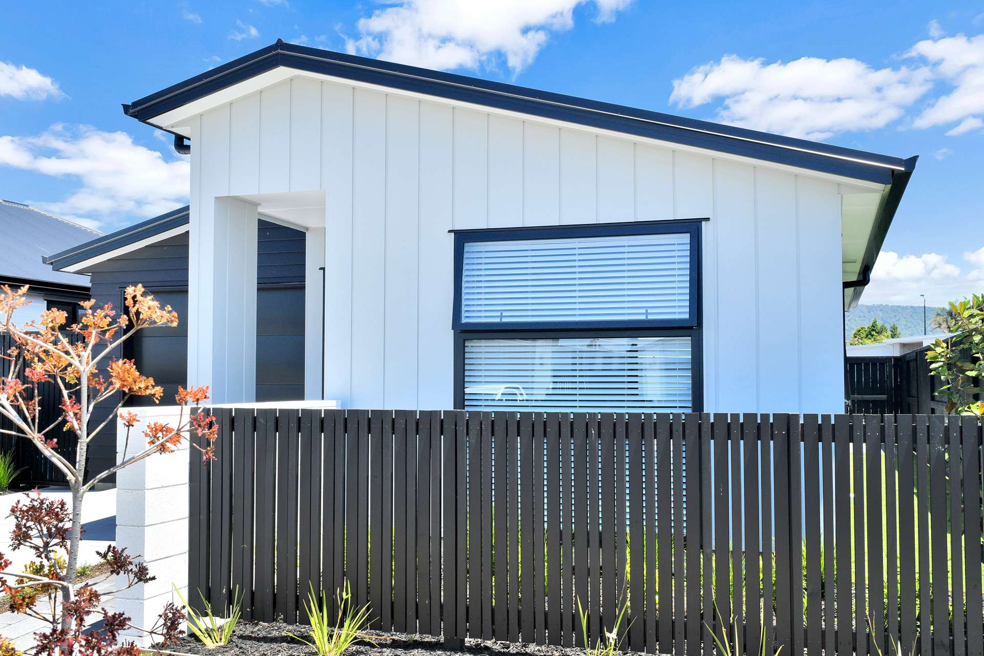 12 Huriana Crescent Te Puke_0