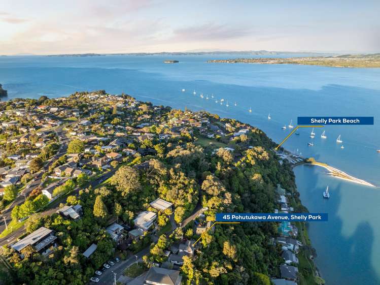 45 Pohutukawa Avenue Shelly Park_26