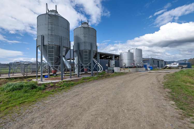 Queens Farm, 16 McGinley Road Opotiki_3