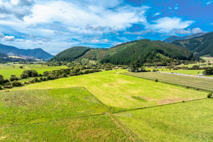 State Highway 1 Koromiko_25