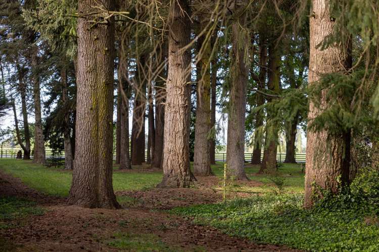 212 Beach Road Elgin_49