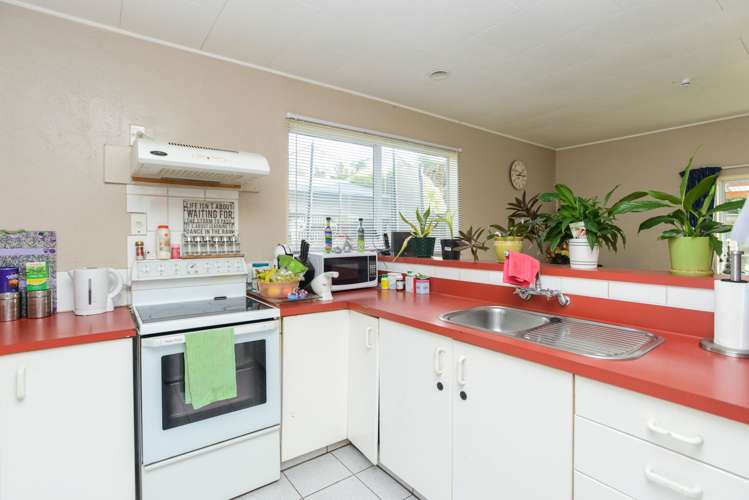 105b Norton Road Akina_10