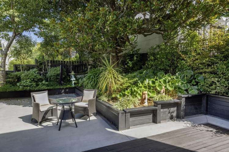 15 Park Street Thorndon_2