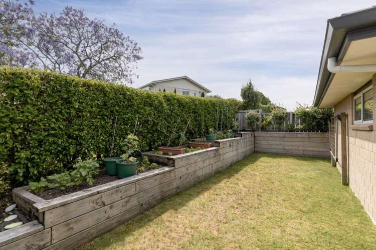 74 Margaret Drive Omokoroa_30