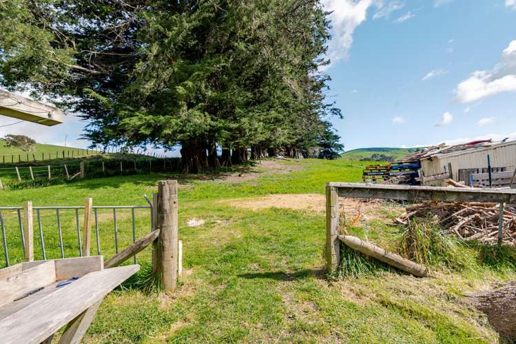 147 Mangatuna Road Weber_16