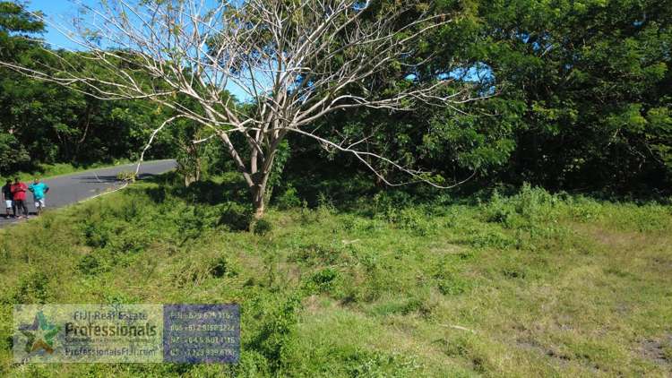 Address withheld Savusavu_11