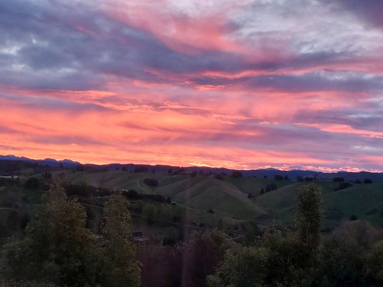 29a Totara View Road Wakefield_26