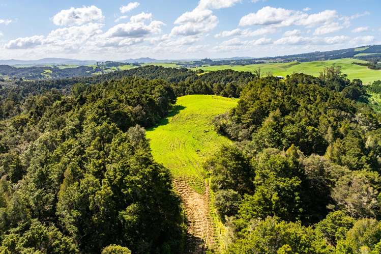 Baker Road Maungatapere_7