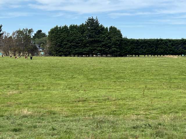 55 McKellar Road Seaward Bush_2